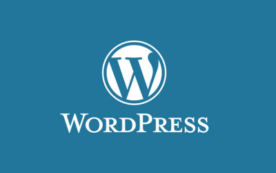 Pros and Cons of WordPress for Your Website